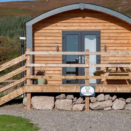 The Hen Harrier - 4 Person Luxury Glamping Cabin Hotell Dungarvan  Exteriör bild